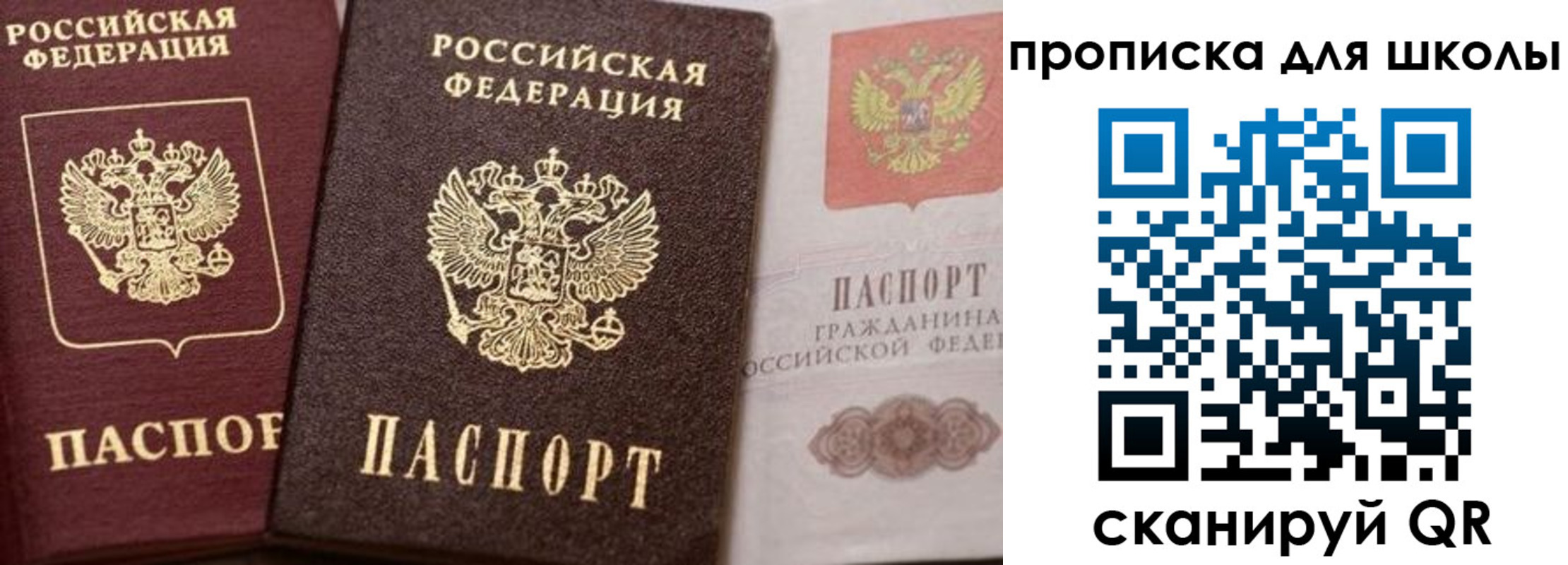 прописка законно в Михайловке